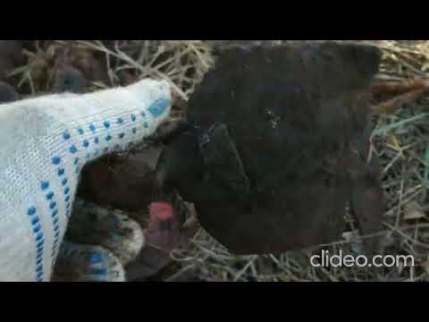 Видео: Выдался погожий день.Урочище Высотинка.Коп металла.