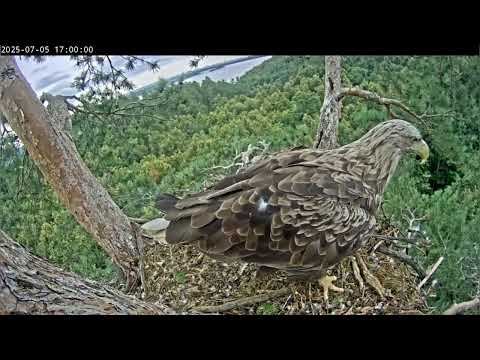 Видео: 5.07.2025 Камычи. Ждал рыбку а получил ветку. 😅