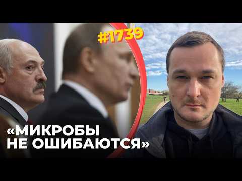 Видео: Лукашенко уходит от Путина к Трампу | Кремль симулирует нормальность | Приближение развязки