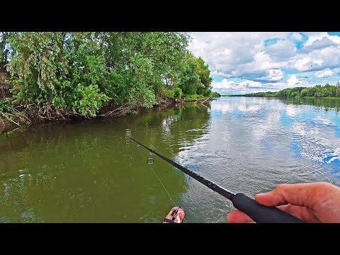 Видео: Рыбалка на спиннинг в ИЮЛЕ. Разведка рыбных мест. Перевернулась лодка с рыбаками