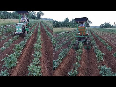 Видео: Окучивание картошки (2019).