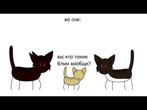 Видео: Коты-воители ~ Третий цикл в двух словах