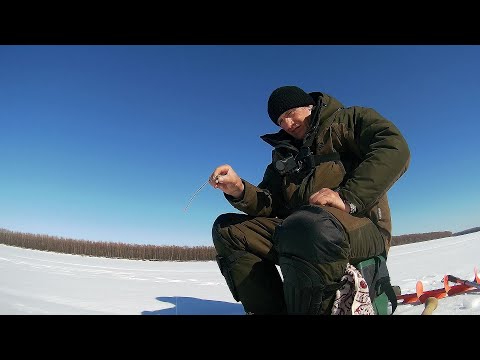 Видео: Весенний лещ на мормышку! Хлыст-кивок завершает сезон.