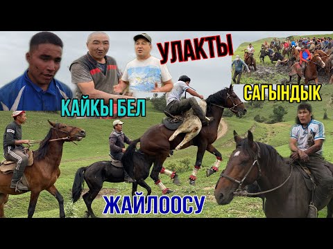 Видео: Мына УЛАК Жайлоодо Жаш БАЛБАНДАР Келишти 2- БӨЛҮК