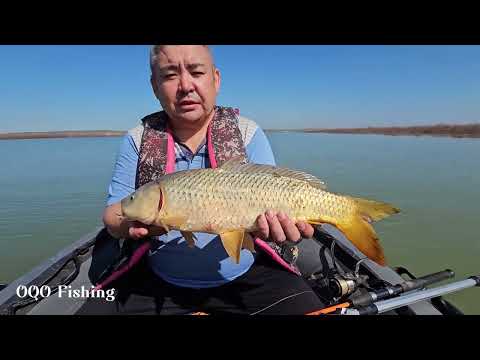 Видео: Көктемгі ау. (весенний рыбалка) Рыбалка ШАРДАРА