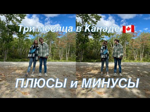 Видео: Три месяца в Канаде | Наши ПЛЮСЫ и МИНУСЫ Канады | Галифакс | CUAET