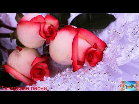 Видео: Татарские песни 27