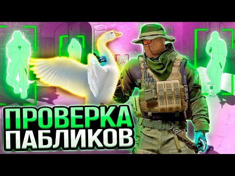 Видео: 🪿 ГУСЬ ВЗЯЛ ПОД КОНТРОЛЬ МОЙ КОМПЬЮТЕР - ПРОВЕРКА ПАБЛИКОВ В CS2 [XONE]