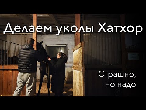 Видео: Новости. Пытаемся приучить и её, и себя.