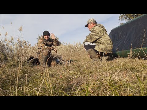 Видео: Рыбалка на Окуня и Плотву в ОКТЯБРЕ. РЫБАЛКА НА ПОПЛАВОК И ДРОП ШОТ!