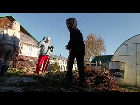 Видео: РАБОТАЕМ В ОГОРОДЕ, КОПАЕМ, УБИРАЕМ. 