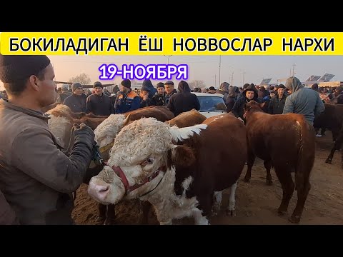 Видео: БОКИЛАДИГАН ЁШ НОВВОСЛАР ЯНГИ НАРХИ ХОРАЗМ БОГОТ МОЛ БОЗОРИ 19-НОЯБРЯ 2025-ЙИЛ !!! ХОРАЗМ ОБЗОР 