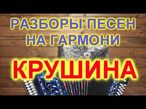 Видео: РАЗБОР ПОД ГАРМОНЬ! КРУШИНА!