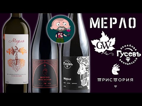 Видео: Какое вино лучше? Сравнение вслепую. Мерло. Гусев VS Тристория VS Гунько