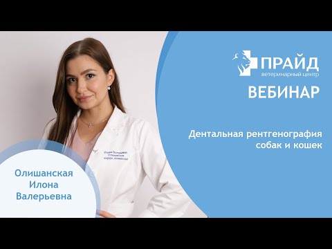 Видео: Дентальная рентгенография кошек и собак