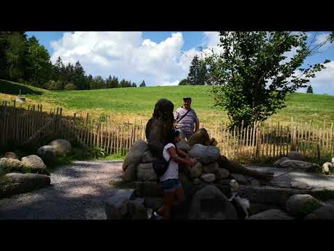 Видео: Изворът на река Дунав в Шварцвалд