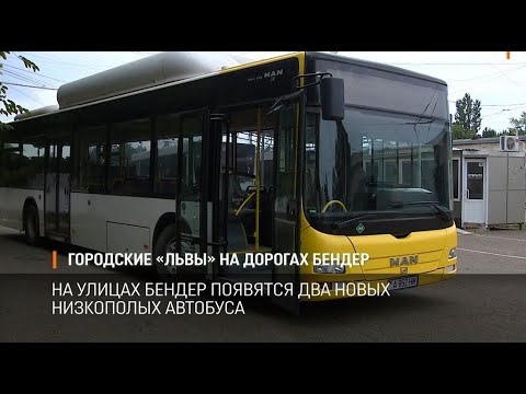 Видео: Городские «львы» на дорогах Бендер