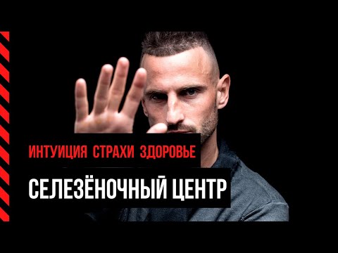 Видео: Селезёночный центр и авторитет. Открытый/Закрытый центр. Как работает спонтанность в Human Design