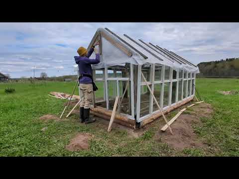 Видео: Вырастил помидоров на 7000