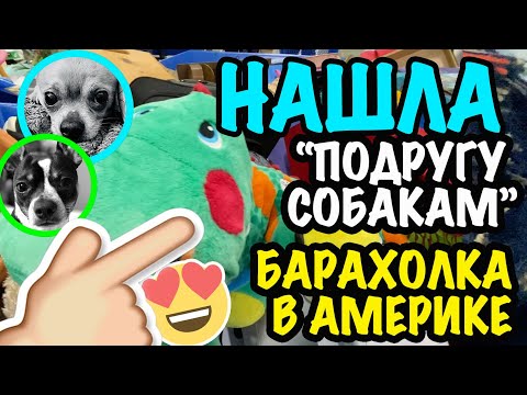 Видео: США 🇺🇸 БАРАХОЛКА СЕКОНД ХЕНД СВАЛКА в АМЕРИКЕ ЧТО ВЫКИДЫВАЮТ АМЕРИКАНЦЫ? САШАЛ