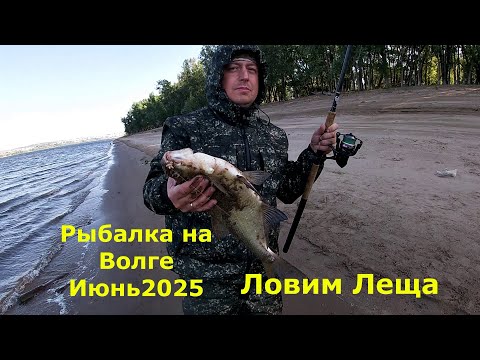 Видео: Ночная рыбалка на Волге! Ловим Леща! Июнь2025!