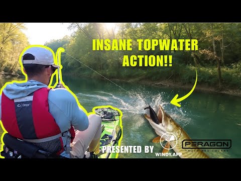 Видео: Теннесси Маски обожаю CHOPPO