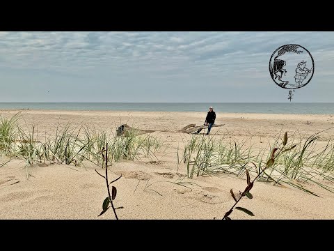 Видео: 11 быков дзен. 3-й бык. Уроки медитации. Серия 3