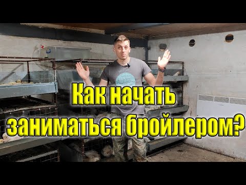 Видео: Выращивание бройлера в домашних условиях. Как начать с нуля?