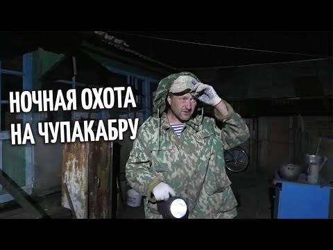 Видео: Ночная охота на чупакабру