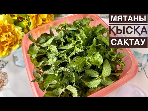 Видео: Мятаны сақтау. Мятаны қалай сақтауға болады. Мятаны ұзақ уақытқа, қысқа сақтау және кептіру әдісі!