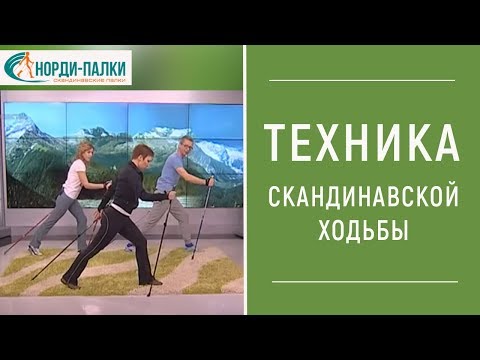 Видео: ТЕХНИКА СКАНДИНАВСКОЙ ХОДЬБЫ Видео. Как правильно ходить с палками.