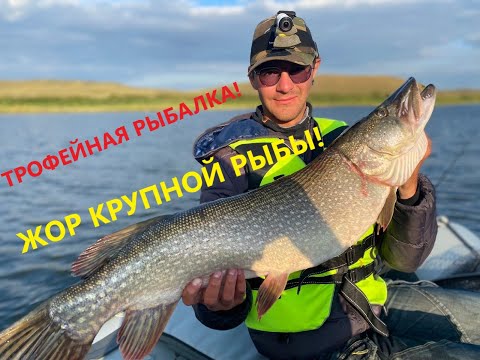 Видео: НАКОНЕЦ-ТО ТРОФЕЙНАЯ РЫБАЛКА!!! Река Селета. Рыбалка 2022