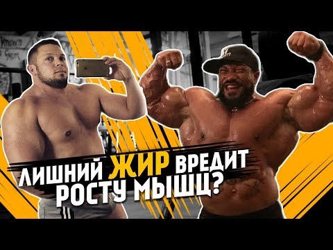 Видео: КОГДА НАБОР МАССЫ ПЕРЕХОДИТ В ОЖИРЕНИЕ?