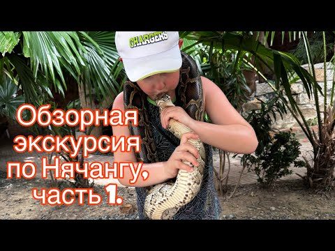 Видео: Влог Зуен Ха,Вьетнам.Шоу со змеями /Обзорная экскурсия по городу Нячанг/Пагода Лонг Шон в Нячанге.