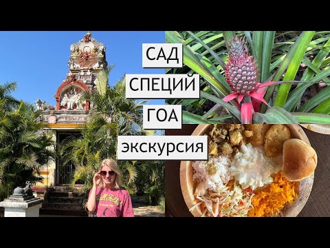 Видео: РАЗВОД ТУРИСТОВ НА ГОА | Сад специй экскурсия, надо ли ехать?
