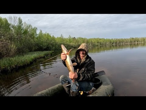 Видео: Рыбалка с ночёвкой. Щука на жерлицу.
