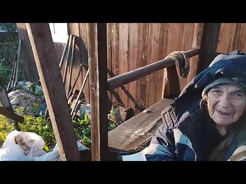 Видео: дача 81