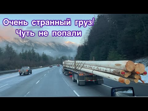 Видео: Очень странный груз! Брокер хотел подставить