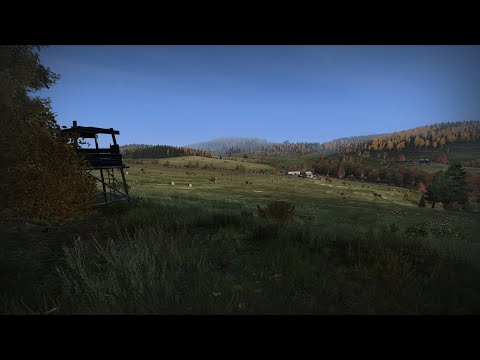 Видео: #5 СТРИМ по dayz 1.26 (VK PLAY LIFE в описание)