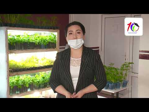 Видео: "Stem" мектеп оқушыларын оқытудың жаңа әдістемесі және әлемдік білім берудің негізгі тренді