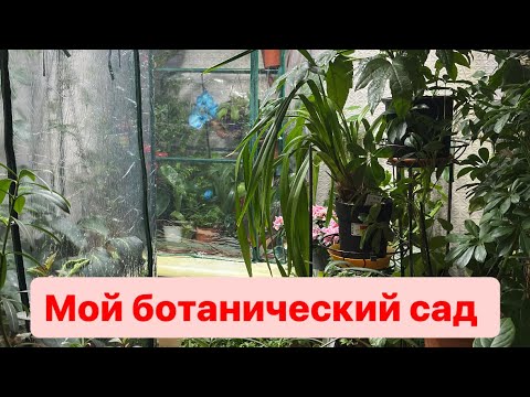 Видео: Кардинальные изменения в моем ботаническом саду 🌿