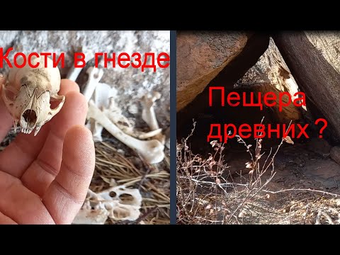 Видео: В орлином гнезде.