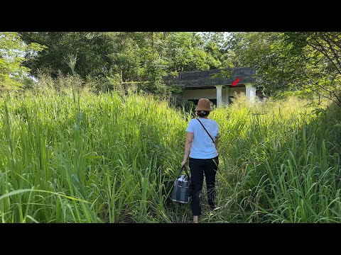 Видео: Женщина не может поверить, что это был её старый дом, вернувшись туда спустя 10 лет