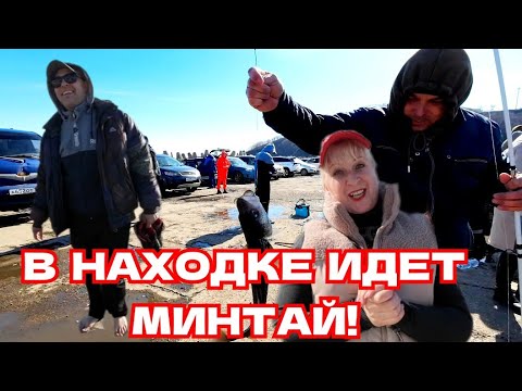 Видео: Город Находка завалило минтаем! / Пляж Золотари в марте / Влог из Приморья