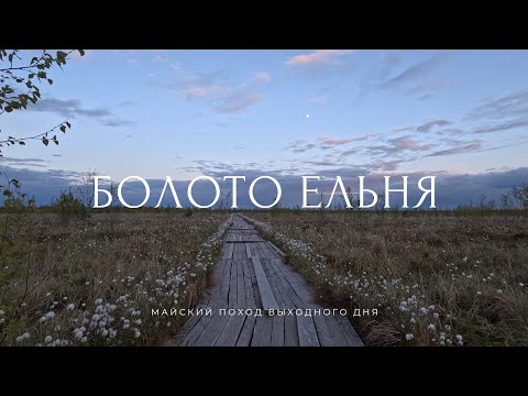 Видео: Идём в поход на болото Ельня | Экотропа Озеравки | Миоры