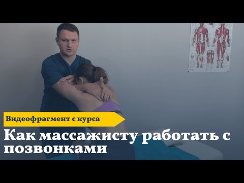 Видео: Как массажисту работать с позвонками. Мягкие мобилизационные техники.