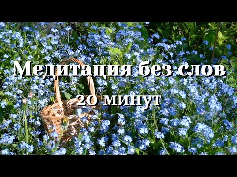 Видео: МЕДИТАЦИЯ БЕЗ СЛОВ 20 минут/ Музыка для медитации и расслабления/Приятная музыка с пением птиц 🎧