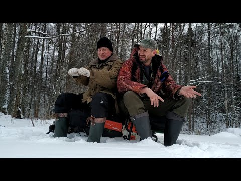 Видео: Зимняя рыбалка в Карелии