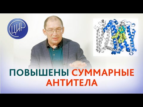 Видео: Повышены суммарные антитела к β2-гликопротеину-1. Акушерский АФС. Гузов И.И.