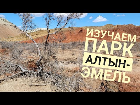 Видео: Изучаем красивый парк Алтын-Эмель на юге Казахстана.